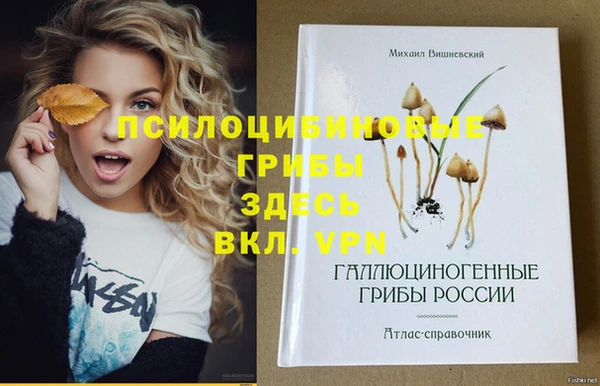 мяу мяу мука Каменка